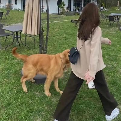 布宜诺斯艾利斯夜无眠